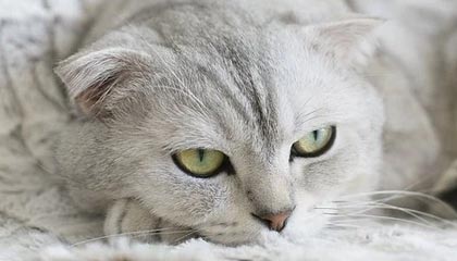 浙江最新的高价医保个人账户余额微信查询方法分享(浙江医保查询个人账户明细怎么查微信教程)