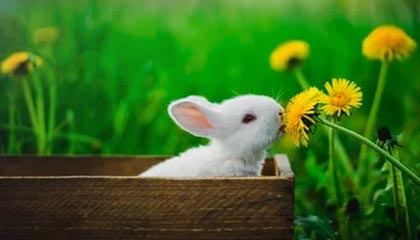 浙江最新的高价医保个人账户余额微信查询方法分享(浙江医保查询个人账户明细怎么查微信教程)